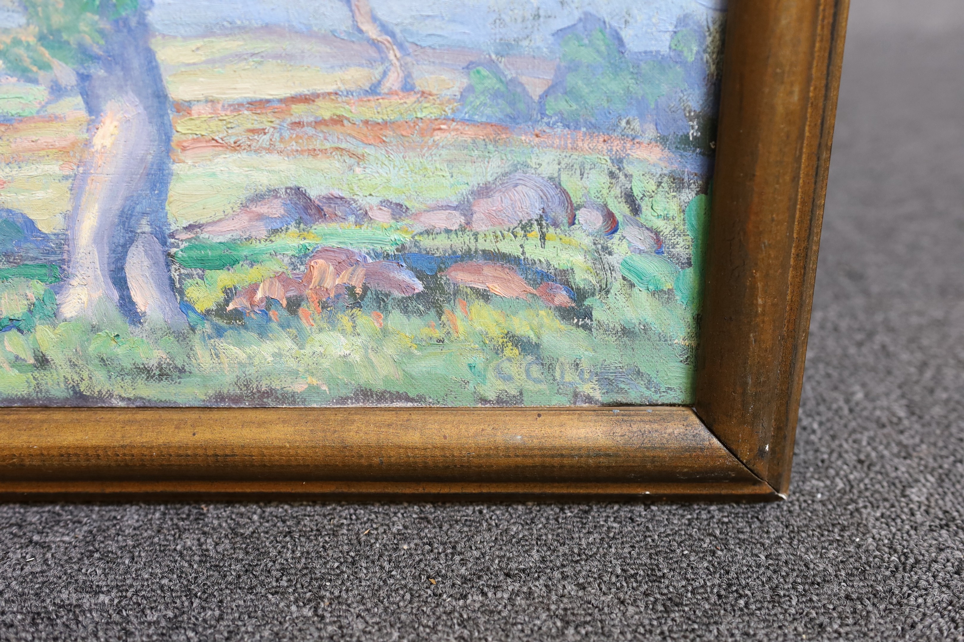 CCL , Open landscape with trees to the foreground, possibly Australia with eucalyptus trees, oil on canvas, 45 x 64cm
